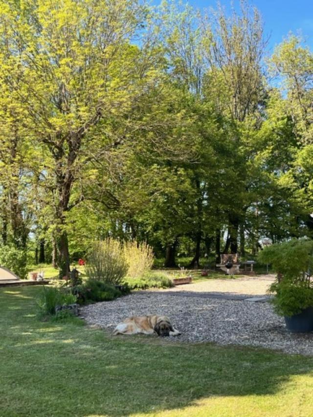 Apartamento Nature Et Calme La Chapelle-Saint-Sauveur  Exterior foto